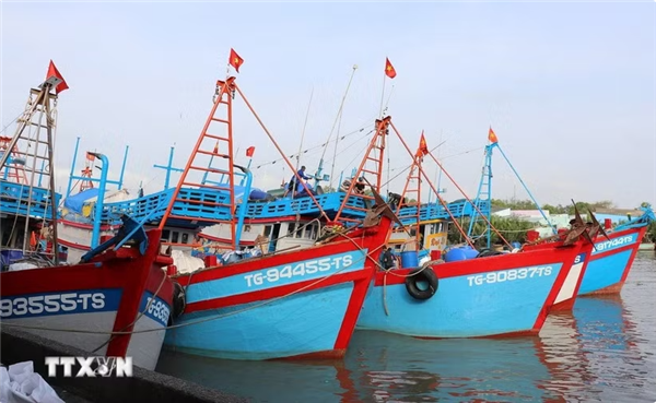 Renforcer le rôle des autorités locales dans la lutte contre la pêche INN