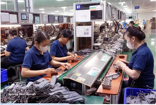 Les exportations vietnamiennes retrouvent un nouvel élan grâce aux commandes et à la production