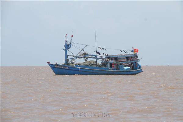 Ca Mau tightens controls to combat IUU fishing