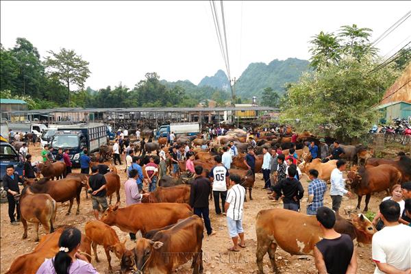 Nét đẹp chợ phiên vùng cao ở Cao Bằng