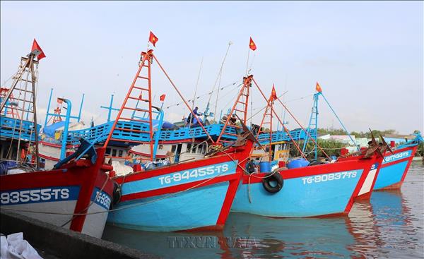 Enhancing role of local authorities in combating IUU fishing