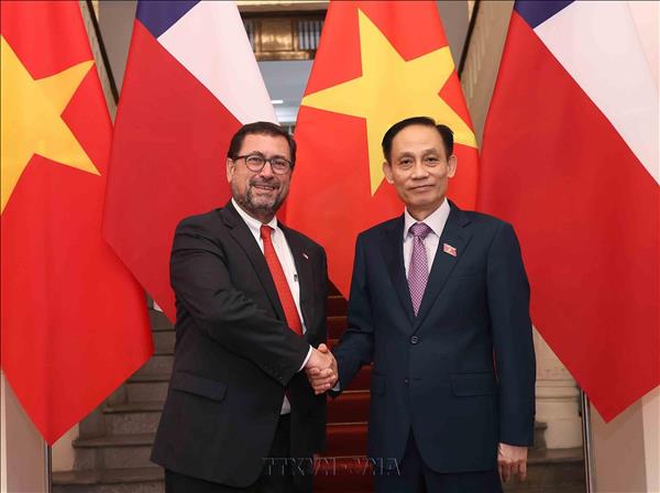 Làm sâu sắc hơn nữa quan hệ chính trị, tăng cường tin cậy giữa Việt Nam - Chile