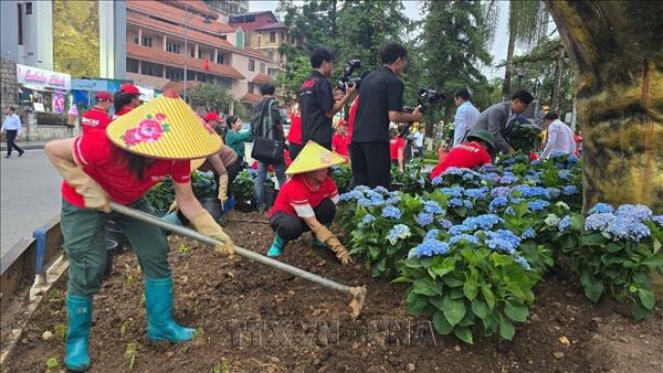 Xây dựng Sa Pa trở thành đô thị du lịch xanh, văn minh và hiện đại