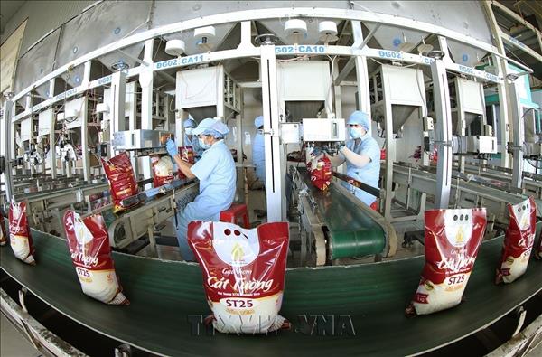 Les exportations de riz vietnamien déplacent le focus du prix vers la qualité