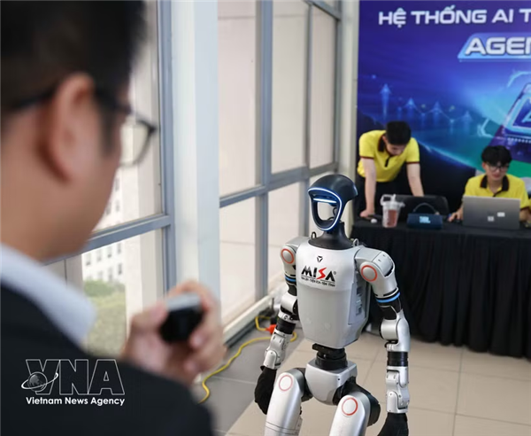 推进符合越南需求的人工智能能力建设