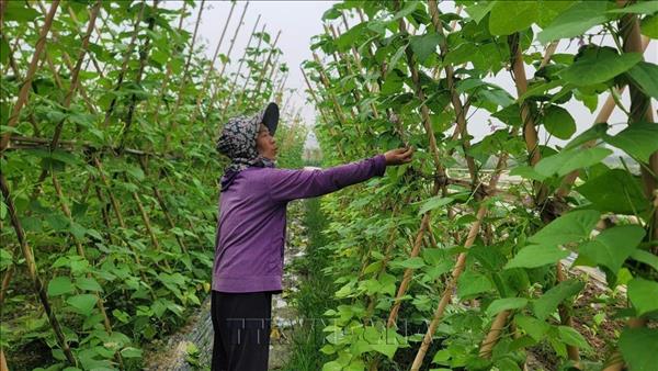 Le Vietnam veut renforcer lEPR pour stimuler léconomie circulaire
