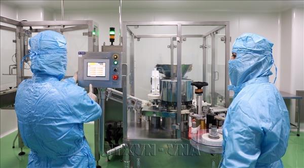 Khánh Hòa tạo mạng lưới chuyên gia, nhà khoa học tạo động lực phát triển mới