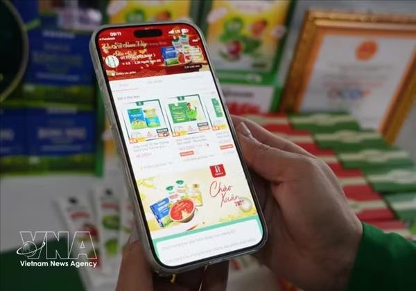 Доверие потребителей - ключ к устойчивому развитию электронной торговли