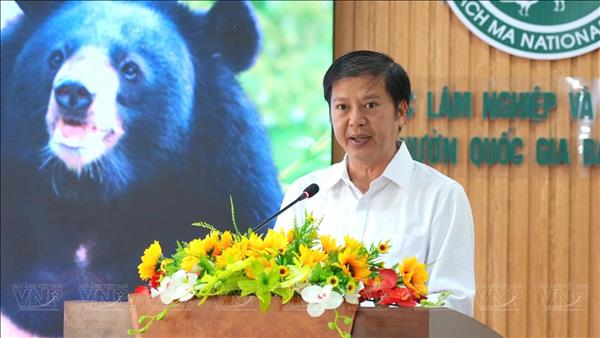 Việt Nam nỗ lực chấm dứt nạn nuôi nhốt gấu lấy mật