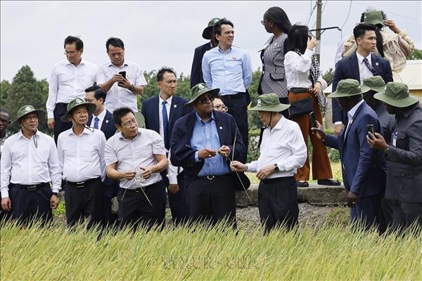 Chủ tịch Quốc hội Trần Thanh Mẫn và Chủ tịch Quốc hội Côte dIvoire thăm mô hình phát triển nông nghiệp tại Cần Thơ