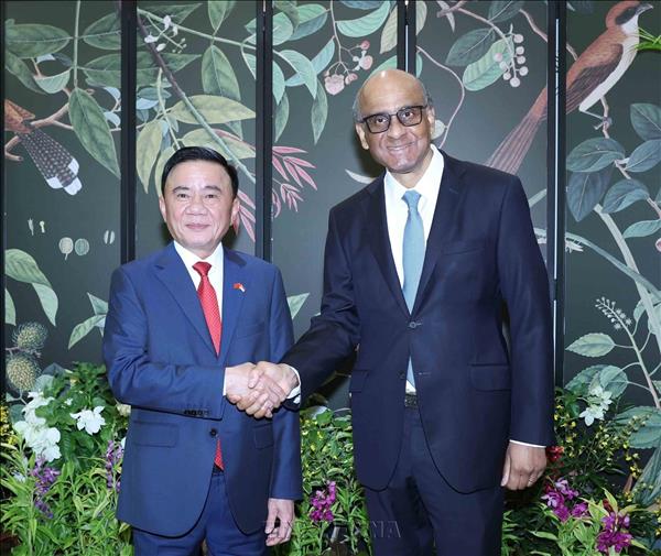 Ủy viên Bộ Chính trị, Thường trực Ban Bí thư Trần Cẩm Tú hội kiến Tổng thống Singapore Tharman Shanmugaratnam