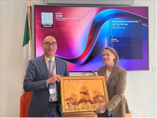 Vietnam, Ireland audit bodies seek stronger cooperation, exchange of expertise