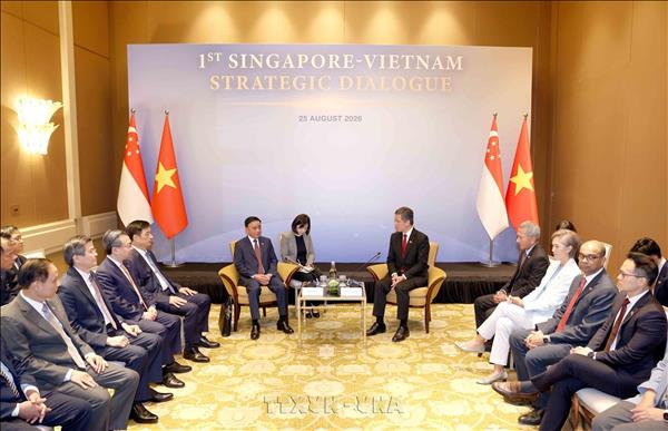 Singapore hosts welcome ceremony for key Party leader Tran Cam Tu