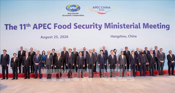 ກອງປະຊຸມ APEC ກ່ຽວກັບຄວາມໝັ້ນຄົງດ້ານສະບຽງອາຫານ: ຫວຽດນາມ ສະເໜີ 4 ທິດທາງຮ່ວມມືຍຸດທະສາດ