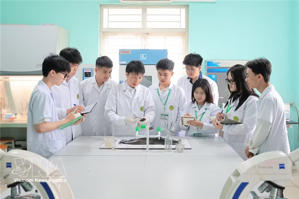 Vietnam acelera la formación de talento digital para mejorar la productividad