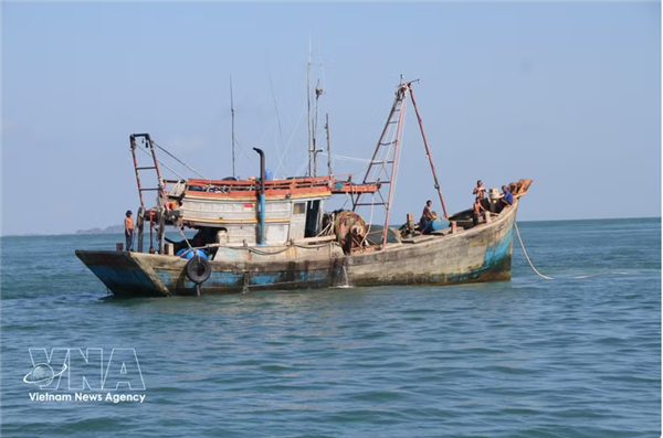 Lutte contre la pêche INN : Ca Mau renforce la gestion numérique de sa flotte
