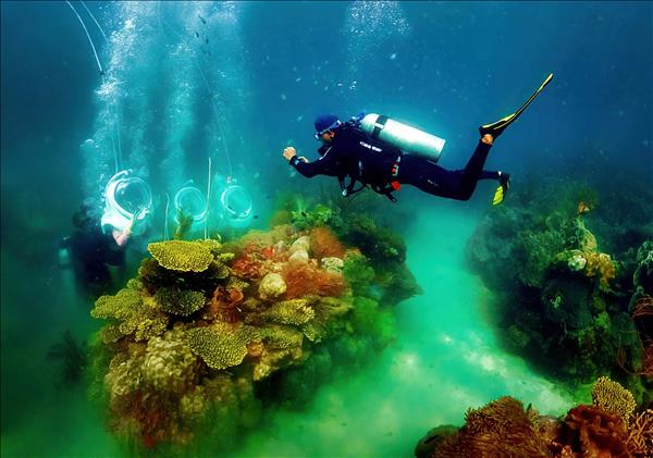 Phu Quoc named Asias best island in Condé Nast Travelers 2026 Readers Choice Awards