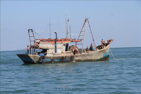 Ca Mau tightens IUU fishing controls, digitalises entire fleet