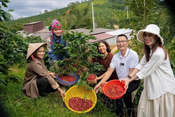 Quảng Trị đánh thức  mỏ vàng xanh từ nông nghiệp