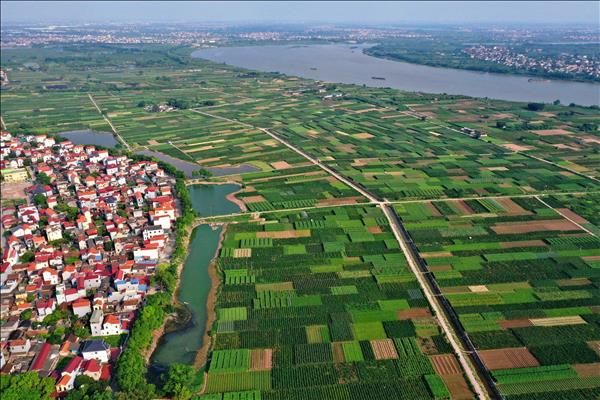 Hà Nội hướng tới nền nông nghiệp xanh, hiện đại và minh bạch