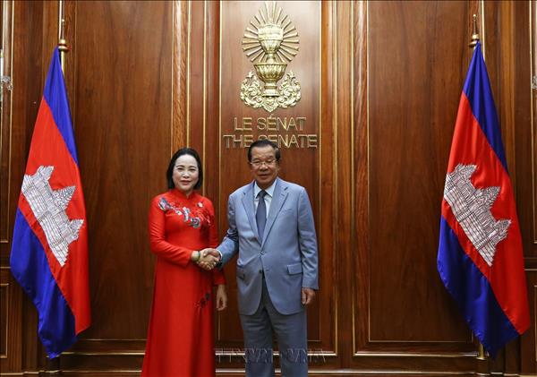 អនុប្រធានរដ្ឋសភាវៀតណាមលោកស្រី ង្វៀន ធីថាញ់ ជួបសវនាការជាមួយប្រធានព្រឹទ្ធសភាកម្ពុជាសម្ដេចតេជោ ហ៊ុន សែន