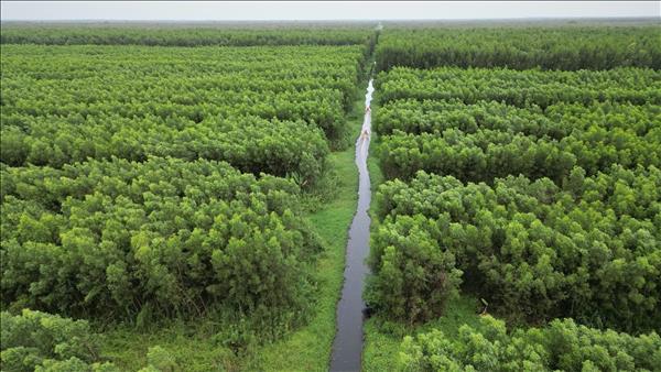 Ca Maus U Minh Ha becomes next ecotourism frontier