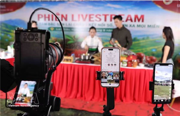 Les produits vietnamiens simposent sur les plateformes de commerce électronique à loccasion de la Fête nationale
