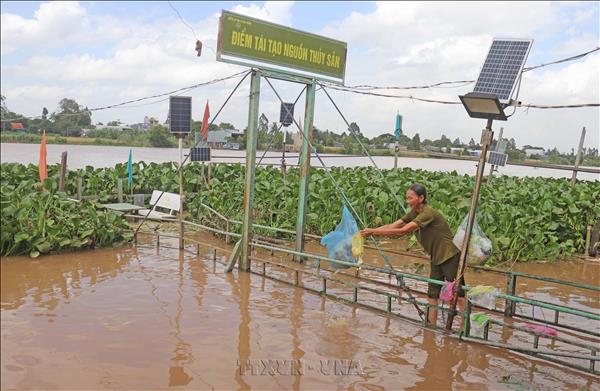 Bảo vệ, tái tạo nguồn lợi thủy sản tự nhiên tại An Giang