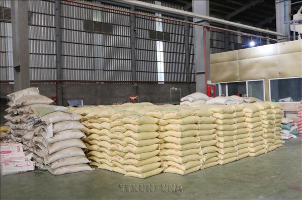 Vietnams rice exports reach 2.91 billion USD in eight months