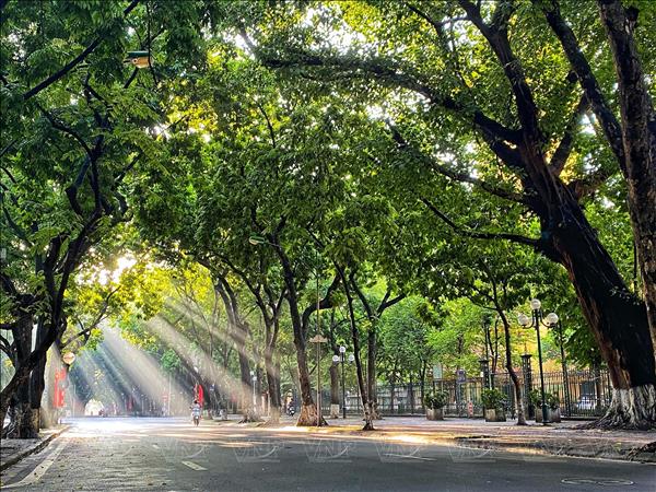 Sắc thu Hà Nội