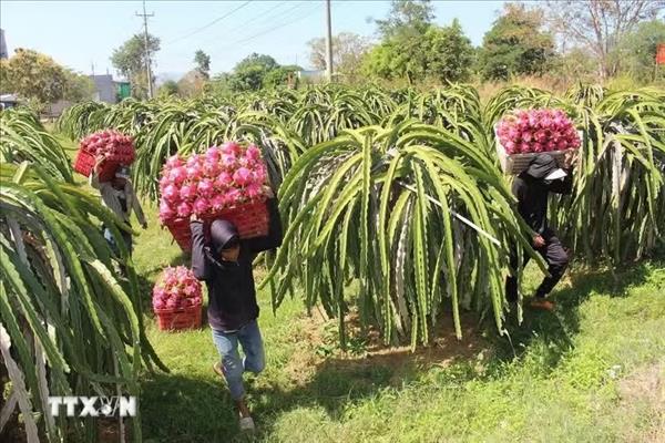 Vietnam et Royaume-Uni renforcent leur coopération stratégique dans lagriculture et lenvironnement