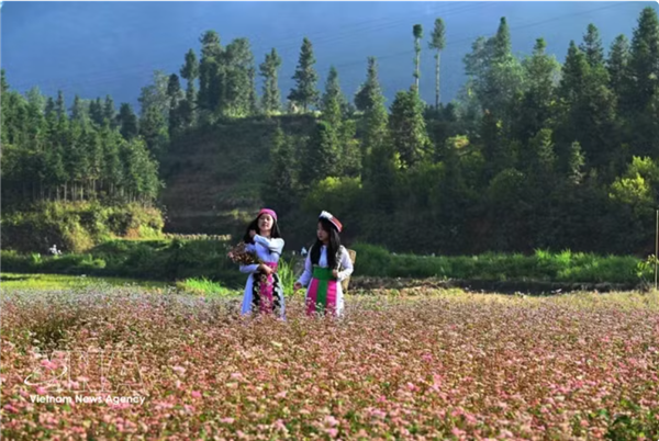 Tuyen Quang veut faire de la culture un moteur économique