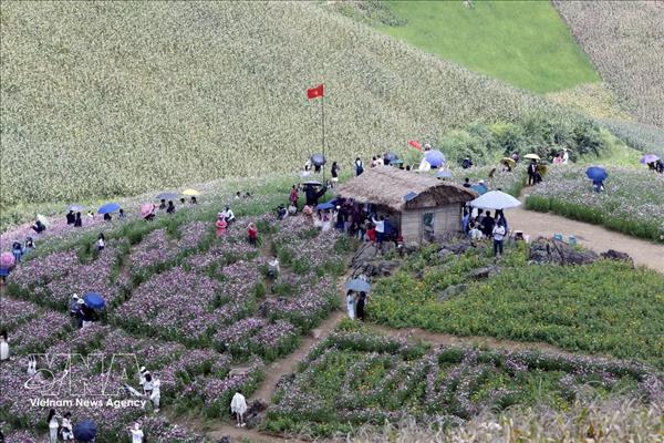 Vietnam et Laos renforcent la solidarité et lamitié entre les populations frontalières