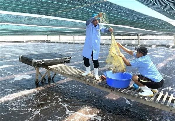 Khanh Hoa accélère la transformation de son secteur halieutique vers un modèle vert et durable