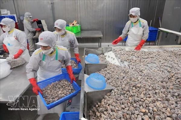 Les exportations de produits agricoles, sylvicoles et aquatiques progressent de 7 %