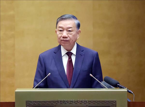越共中央总书记、国家主席苏林：文件的价值要体现在解决实际问题的能力上