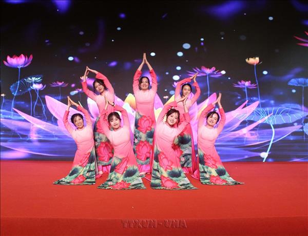 Vietnamese communities in China, Japan celebrate National Day