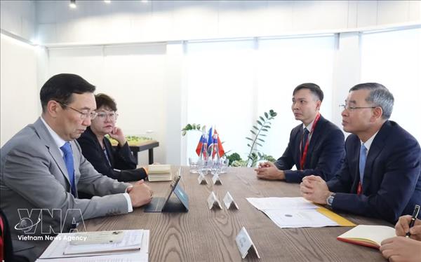 Nouvelles perspectives de coopération entre le Vietnam et la Russie