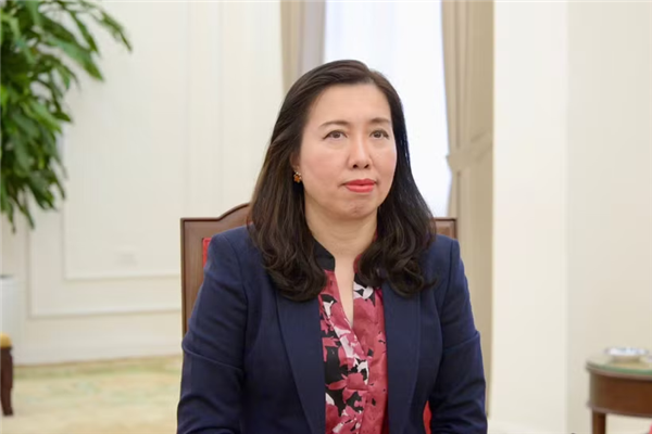 为越南与俄罗斯和法国全面战略伙伴关系树立新里程碑
