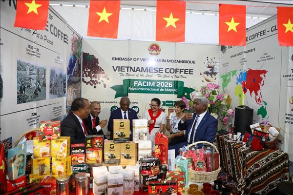 Vietnamese coffee exports poised for strong finish toward year-end