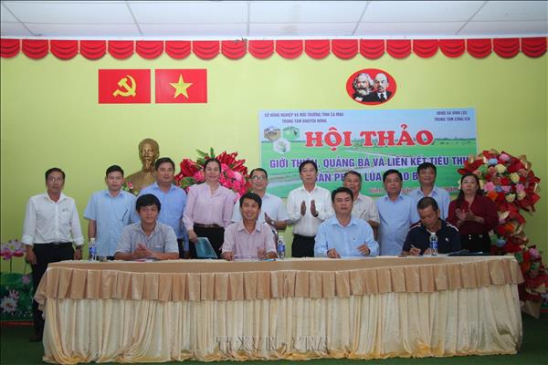 Cà Mau tăng quảng bá và liên kết tiêu thụ sản phẩm lúa – gạo BL9