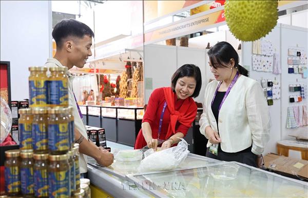Vietnam steps up trade, investment promotion at China-ASEAN Expo