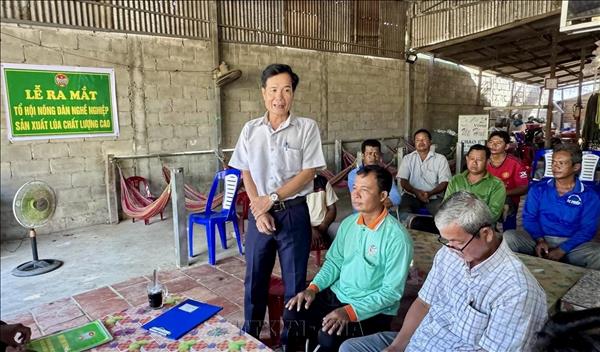 An Giang mở rộng vùng lúa chất lượng cao, phát thải thấp