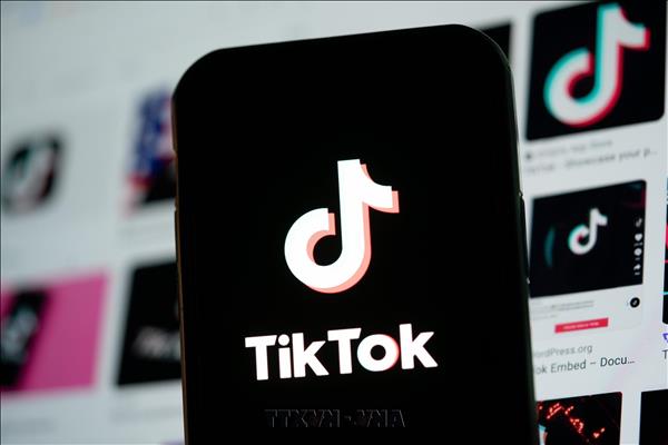 TikToks 980 mln USD Ho Chi Minh City logistics project secures investment certificate