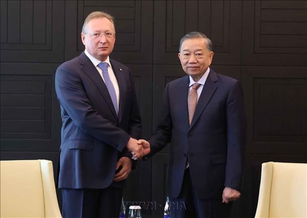 Генсек, Президент То Лам принял представителей ряда компаний и университета Российской Федерации