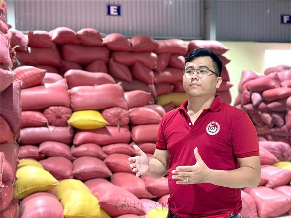 Vĩnh Long: Nông dân trẻ đưa hạt gạo quê hương vươn xa