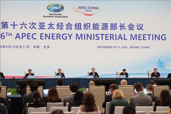 APEC, 에너지 협력 합의 도출…‘135 성과 체계 구축