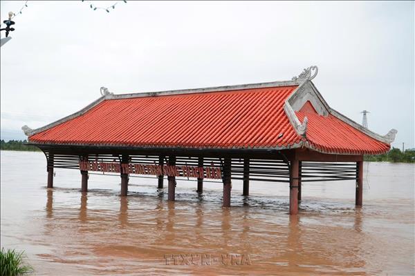 Người dân ven sông Thạch Hãn (Quảng Trị) tất bật chạy lũ trong đêm tối