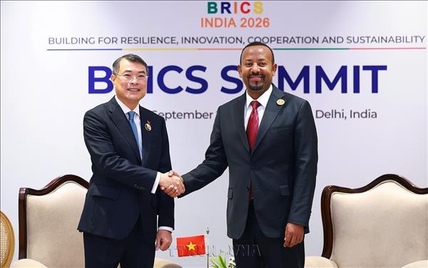 Thủ tướng Chính phủ Lê Minh Hưng gặp Thủ tướng Ethiopia Abiy Ahmed Ali