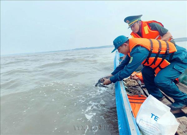 Chung tay bảo tồn đa dạng sinh học và bảo vệ nguồn lợi biển ​